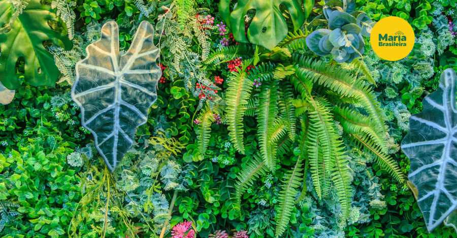Além da decoração, plantas ajudam a criar uma sensação maior de conforto e bem-estar dentro de casa. Reprodução: Internet